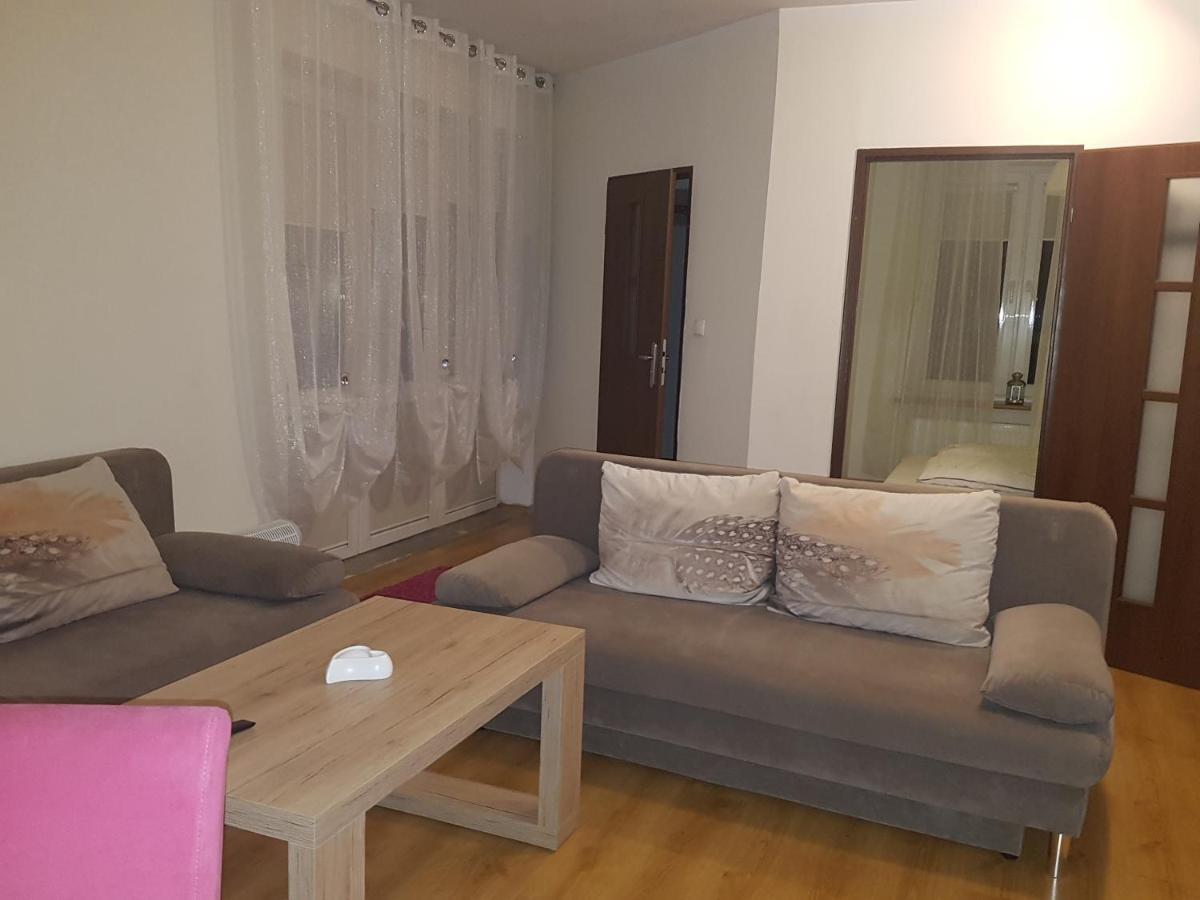 Willa Nad Potokiem Kudowa-Zdrój Buitenkant foto